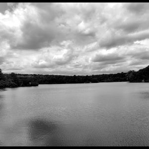 Meet your Posher, Dominick